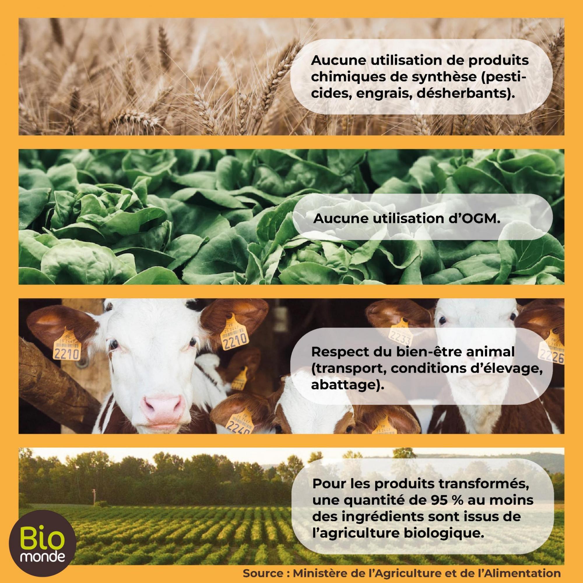 Consommer bio, expliquer par vos boutiques bio Biomonde